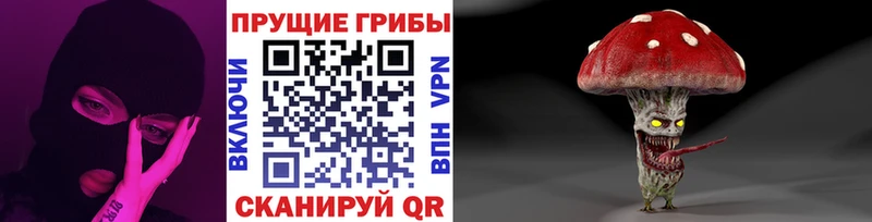Псилоцибиновые грибы ЛСД  МЕГА онион  Уяр  купить  цена 